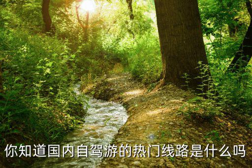 你知道國內自駕游的熱門線路是什么嗎