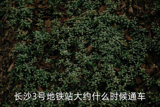 長沙3號地鐵站大約什么時候通車