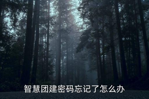 智慧團建密碼忘記了怎么辦