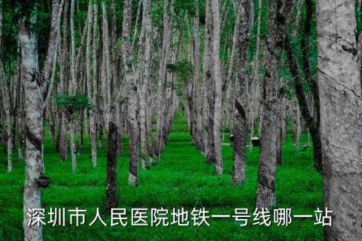 深圳市人民醫(yī)院地鐵一號線哪一站