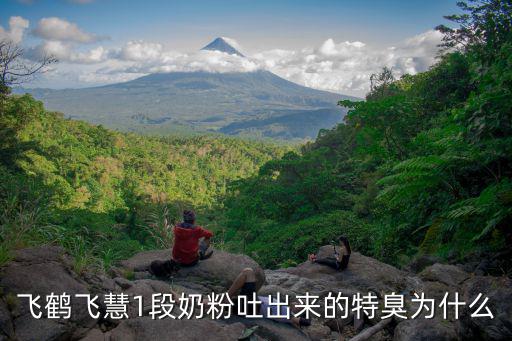 飛鶴飛慧1段奶粉吐出來的特臭為什么