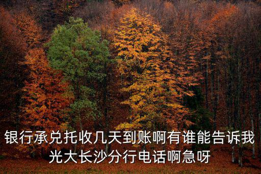 銀行承兌托收幾天到賬啊有誰能告訴我光大長沙分行電話啊急呀