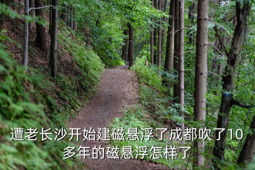 長沙磁懸浮，長沙的磁浮列車在哪里可以坐