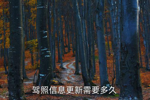 駕照信息更新需要多久