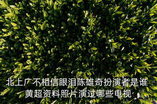 北上廣不相信眼淚陳雄奇扮演者是誰(shuí) 黃超資料照片演過(guò)哪些電視