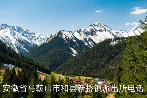 新橋派出所，長汀新橋派出所上班時間