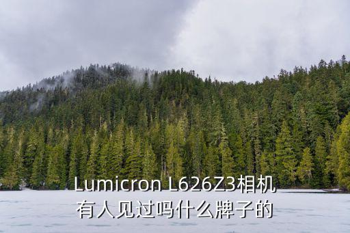 Lumicron L626Z3相機有人見過嗎什么牌子的