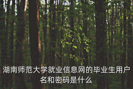 湖南師范大學(xué)就業(yè)信息網(wǎng)的畢業(yè)生用戶名和密碼是什么
