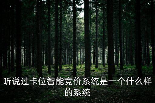競價系統，聽說過卡位智能競價系統是一個什么樣的系統