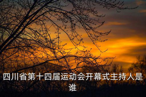 四川省運動會，四川省省運會在哪舉行