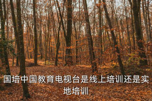 國培中國教育電視臺是線上培訓還是實地培訓