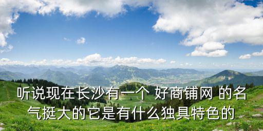 聽說現在長沙有一個 好商鋪網 的名氣挺大的它是有什么獨具特色的