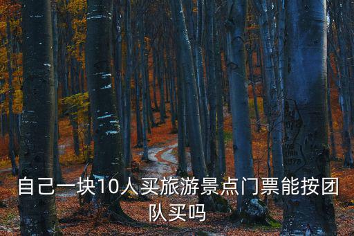 自己一塊10人買旅游景點門票能按團隊買嗎