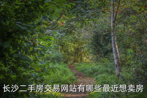 長沙二手房交易網站有哪些最近想賣房