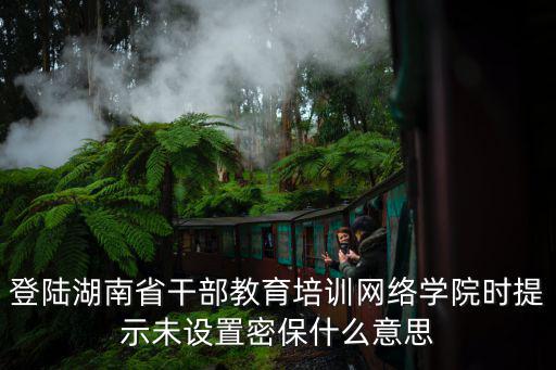 登陸湖南省干部教育培訓網絡學院時提示未設置密保什么意思