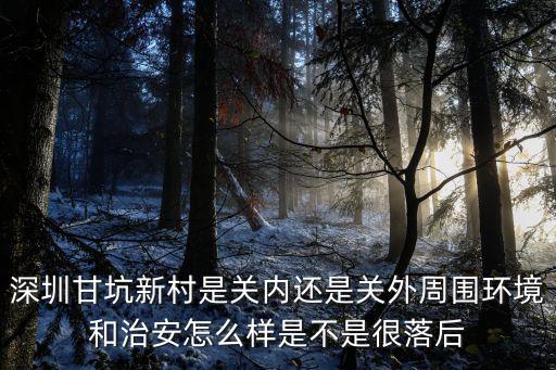甘坑，深圳甘坑新村是關內還是關外周圍環境和治安怎么樣是不是很落后