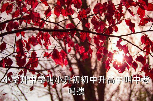 小學升中學叫小升初初中升高中叫中考嗎搜