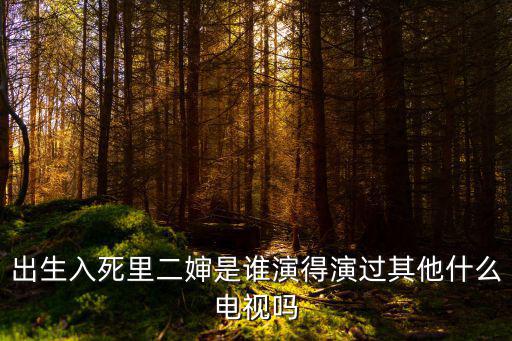 出生入死里二嬸是誰演得演過其他什么電視嗎