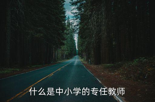 什么是中小學的專任教師