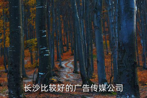 長沙比較好的廣告傳媒公司