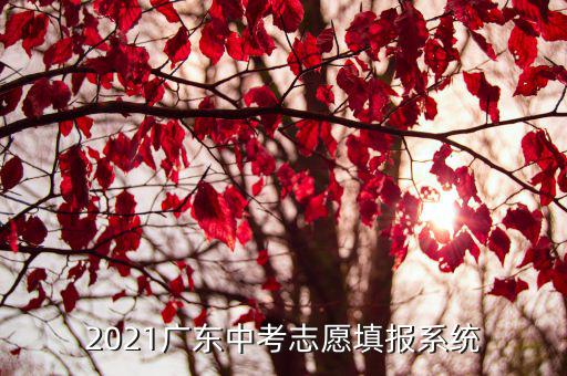 2021廣東中考志愿填報系統