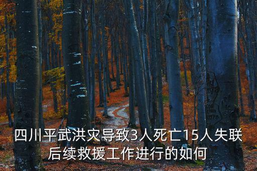 四川平武洪災(zāi)導(dǎo)致3人死亡15人失聯(lián)后續(xù)救援工作進(jìn)行的如何