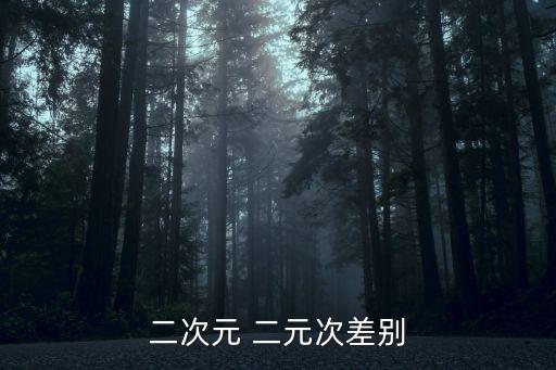 二次元 二元次差別