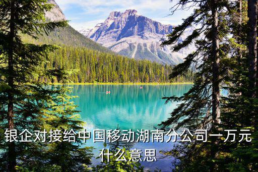 銀企對接給中國移動湖南分公司一萬元什么意思
