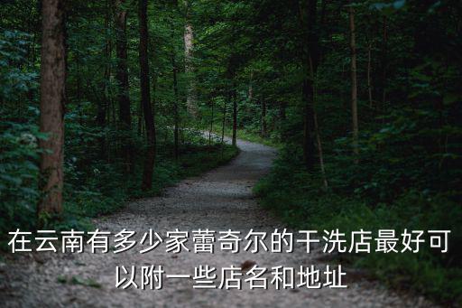 在云南有多少家蕾奇爾的干洗店最好可以附一些店名和地址
