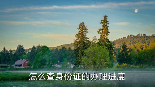 身份證辦理查詢，如何查詢身份證辦理實時進度