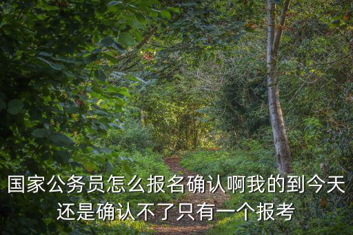 國家公務員怎么報名確認啊我的到今天還是確認不了只有一個報考