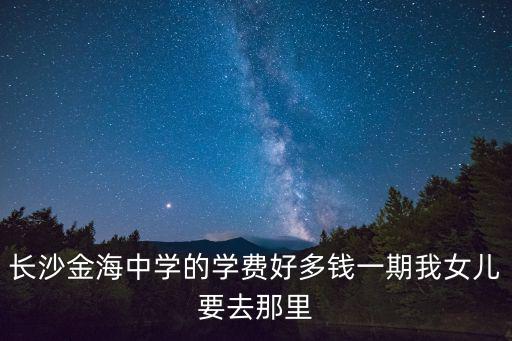 長沙金海中學的學費好多錢一期我女兒要去那里