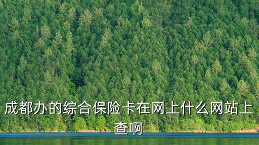 成都辦的綜合保險卡在網上什么網站上查啊