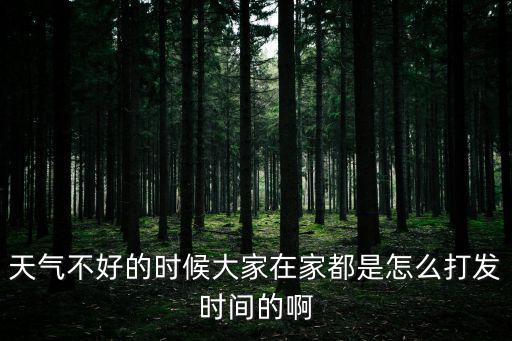 天氣不好的時候大家在家都是怎么打發時間的啊
