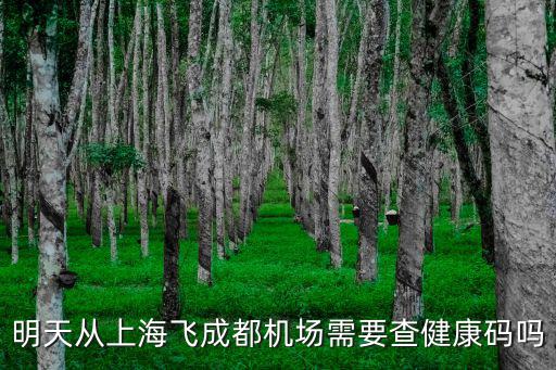 明天從上海飛成都機場需要查健康碼嗎