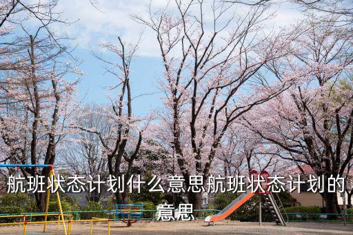 航班狀態(tài)計(jì)劃什么意思航班狀態(tài)計(jì)劃的意思