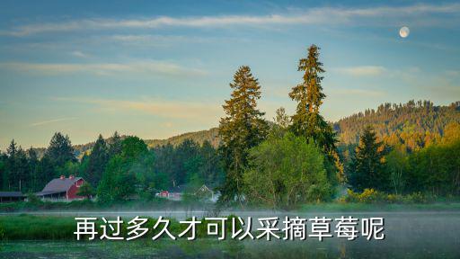再過多久才可以采摘草莓呢
