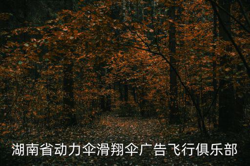 動力傘價格，湖南省動力傘滑翔傘廣告飛行俱樂部