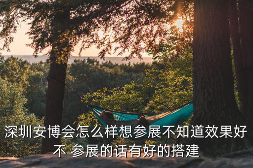 深圳安博會，2013年深圳安博會是否需要門票