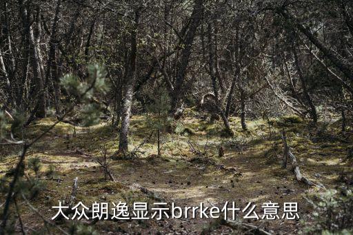 大眾朗逸顯示brrke什么意思