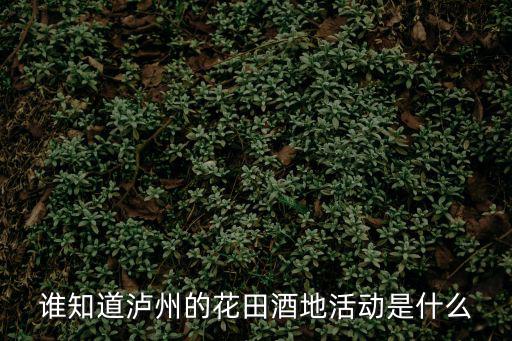 誰知道瀘州的花田酒地活動(dòng)是什么