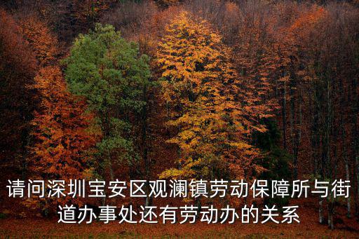 請問深圳寶安區觀瀾鎮勞動保障所與街道辦事處還有勞動辦的關系