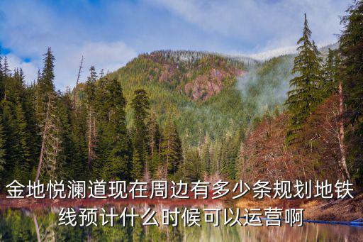 金地悅瀾道現在周邊有多少條規劃地鐵線預計什么時候可以運營啊