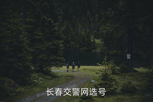 長春交警網選號