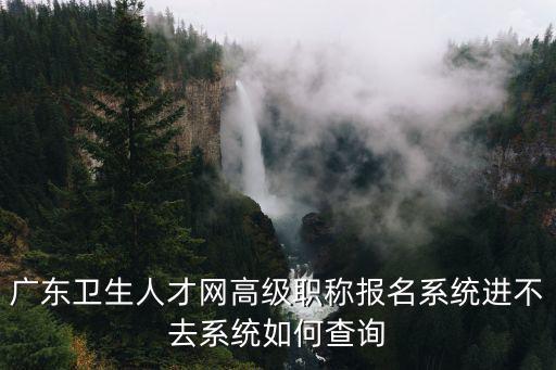 廣東衛(wèi)生人才網(wǎng)高級職稱報名系統(tǒng)進不去系統(tǒng)如何查詢