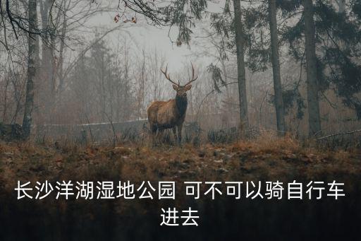 長沙洋湖濕地公園 可不可以騎自行車進去