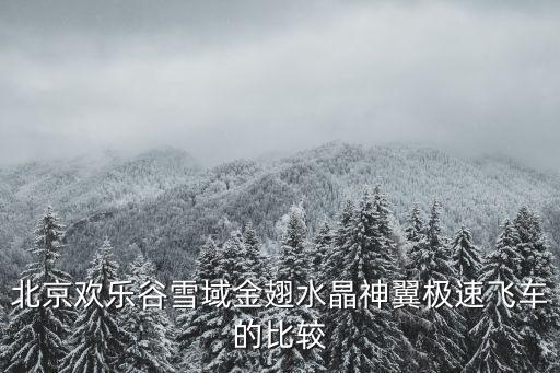 雪域金翅，我目前做過最刺激的是歡樂谷的雪域金翅馬上要去石景山游樂園