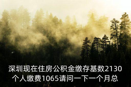深圳現(xiàn)在住房公積金繳存基數(shù)2130個(gè)人繳費(fèi)1065請(qǐng)問(wèn)一下一個(gè)月總
