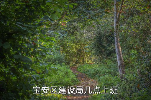 寶安區(qū)建設(shè)局幾點(diǎn)上班