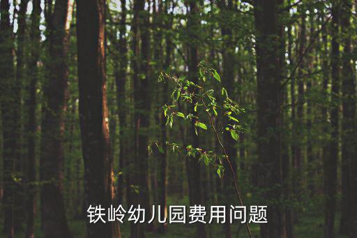 附近幼兒園價格表，鐵嶺幼兒園費用問題
